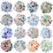 640 Pieces Watercolor Theme Stickers Pretty Scrapbook Stickers (Warm Style) 8.07 x 8.07 x 0.63 inches